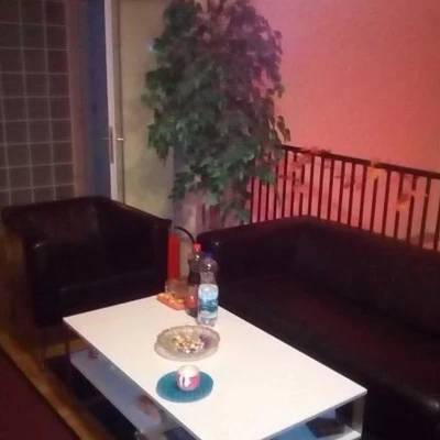 2939, Escort, Vienna