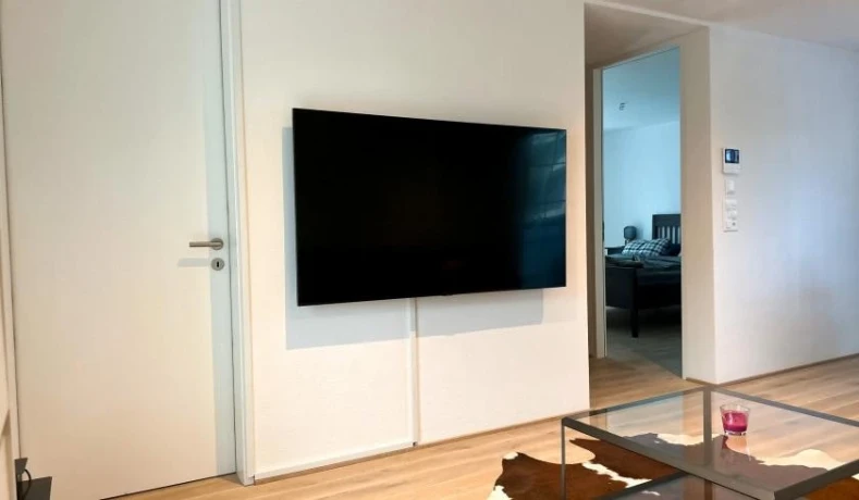 Habitacion De Nueva Construccion En Alquiler En Spreitenbach — 2 / 5