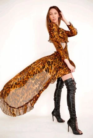 Panthera — 4 / 6