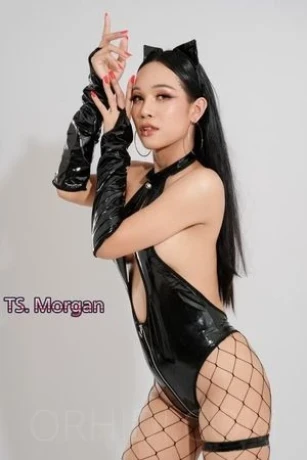 TS. Morgan — 2 / 3