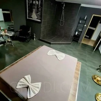 Studio No.6, Escort, Koln