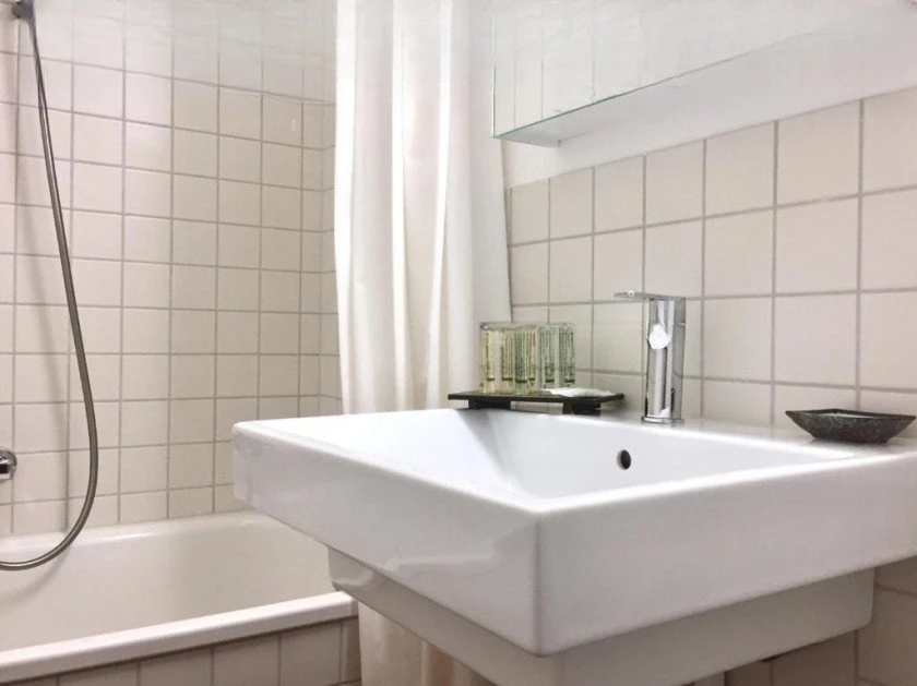 Zimmer Oder Ganze Apartment In Der Stadt Zurich, Escort, Zurich