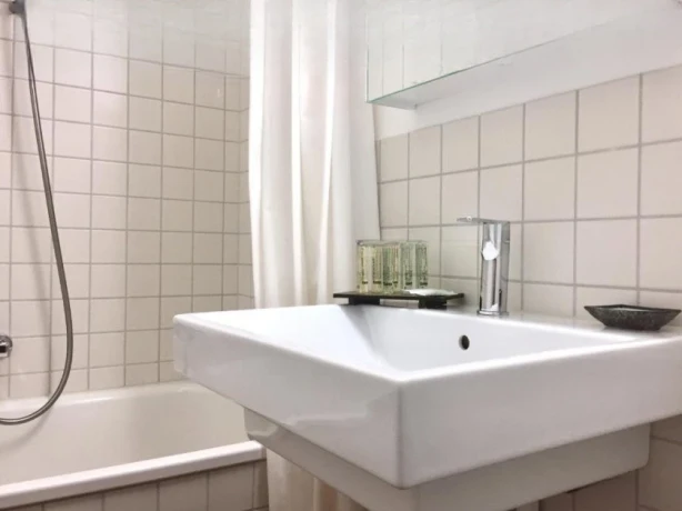 Zimmer Oder Ganze Apartment In Der Stadt Zurich — 1 / 5