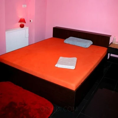 3514, Escort, Vienna