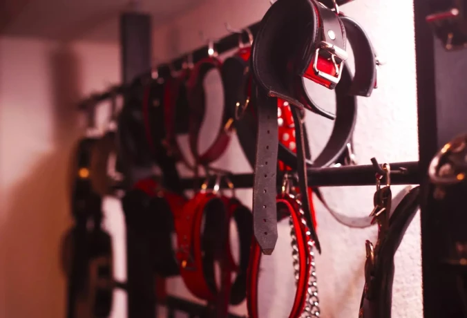 Spannend Bdsm Beleven — 1 / 3