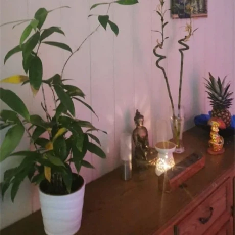 Thai Energie Massage Maressa — 3 / 5