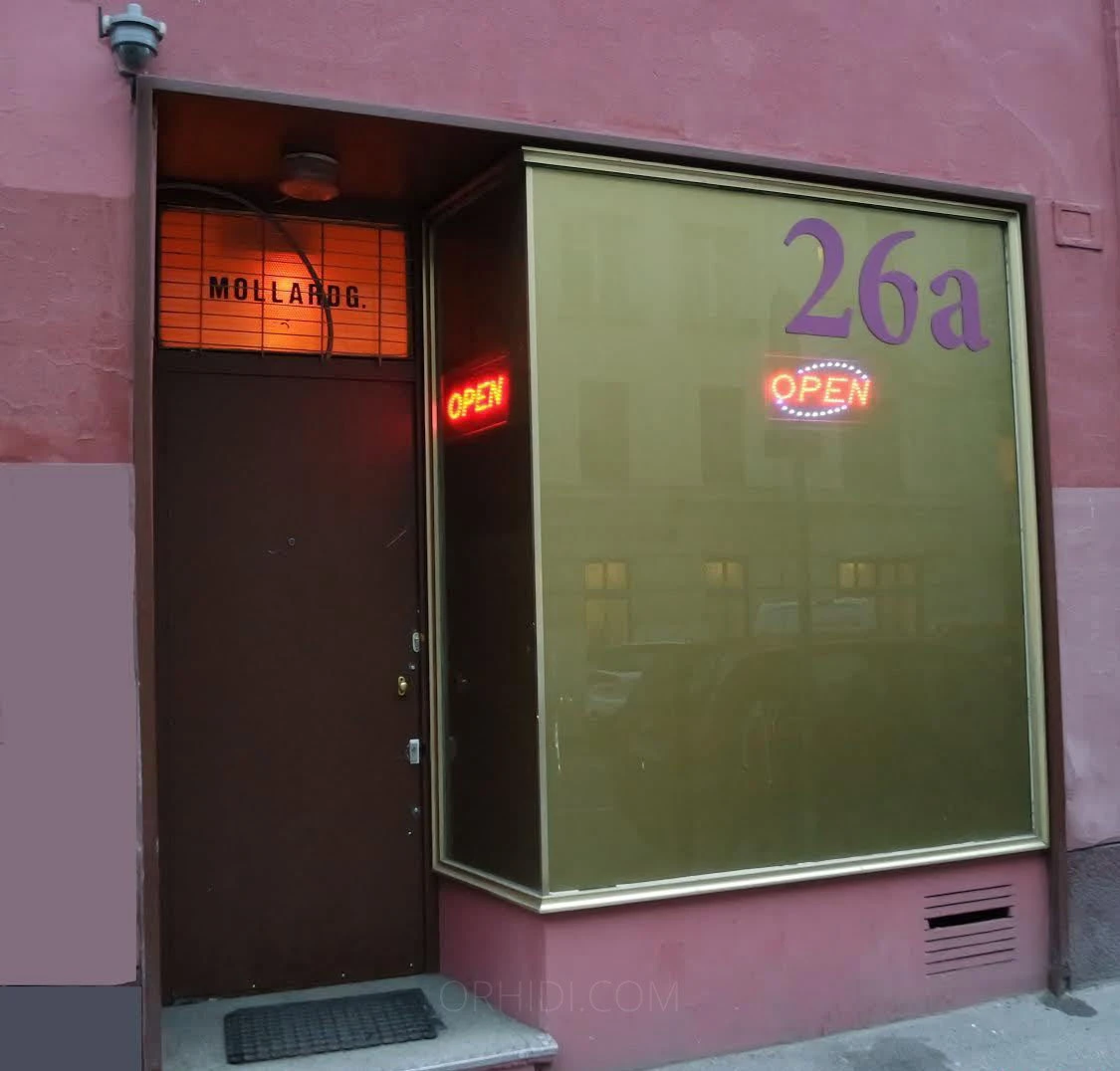 5689, Escort, Vienna