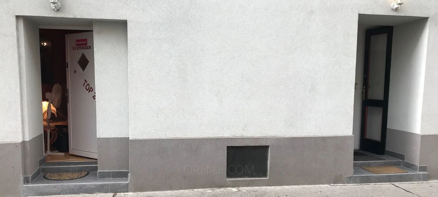 258061 — 2 / 3