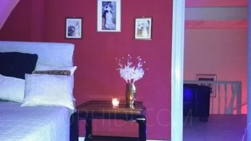 Haus Exotica — 3 / 13