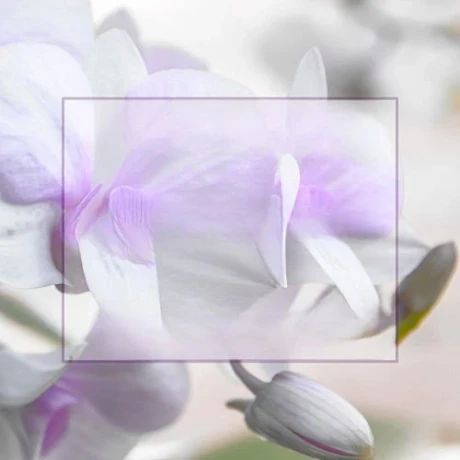 Sommer Aktion Massage Erotik In Bern Nur Fuer Ein Paar Tage — 2 / 5