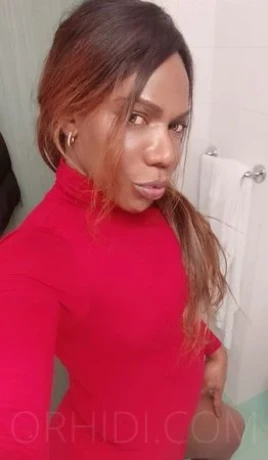 TS PANTERA BLACK XXL — 11 / 16