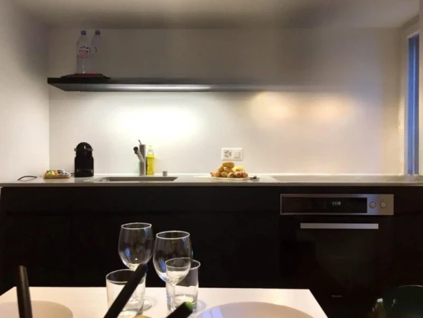 Zimmer Oder Ganze Apartment In Der Stadt Zurich — 2 / 5