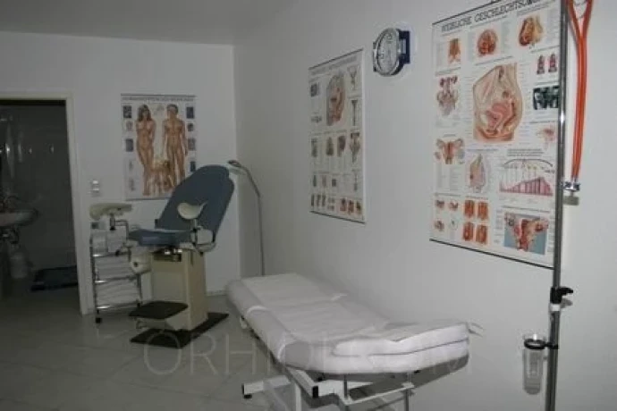 Hotcats Club — 12 / 17