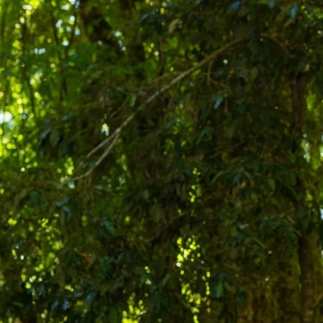 Xiomara Requelme — 10 / 12