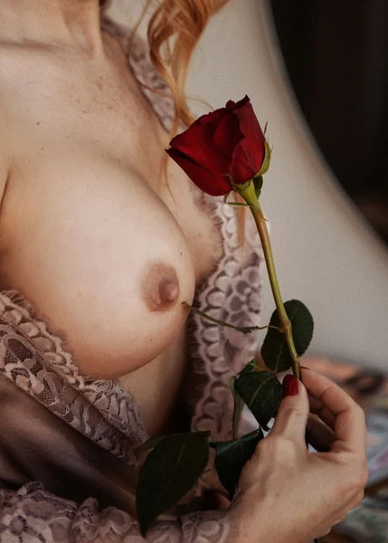 LIANA, Escort, Friedrichshafen