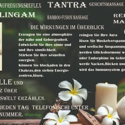 Nicol, Escort, Vienna