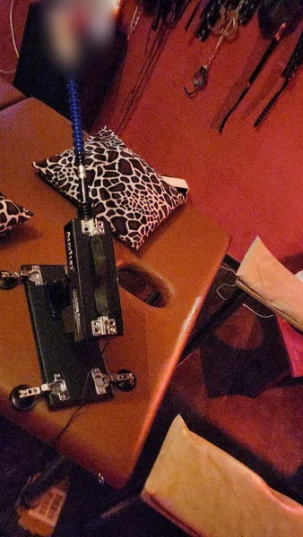 NEU! Domina - nur Hotel möglich!, Escort, Ulm