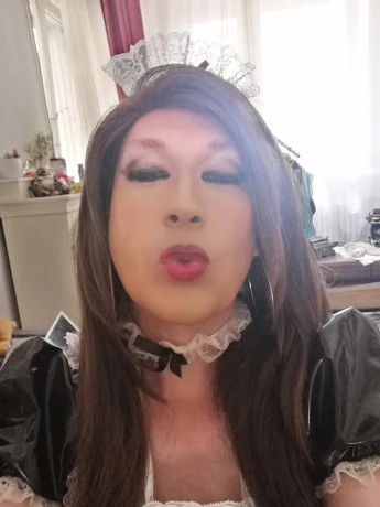 Trans Cat Deluxe — 3 / 7