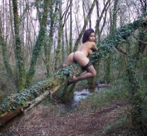 Lucia Party — 4 / 5