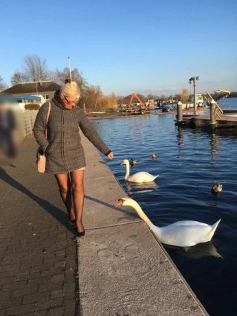 Deutsche Diana — 7 / 24