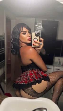 Sofia Transica Xl — 1 / 3