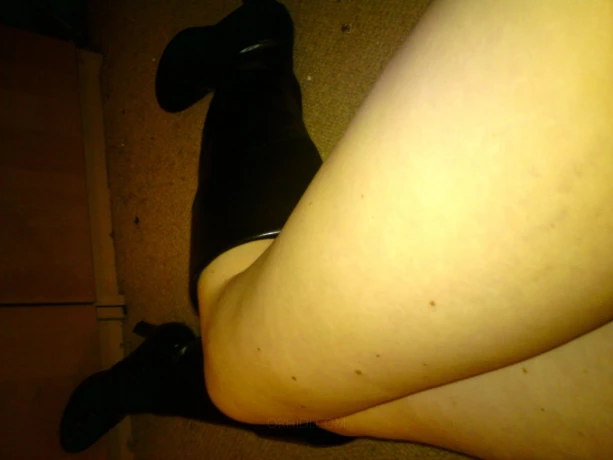 Tudor-Rose — 2 / 5