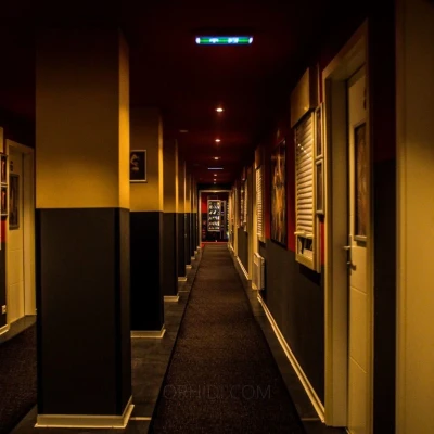 649347, Escort, Vienna