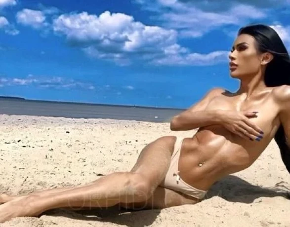 TS Chilli  Brown 100% echtes Bild — 6 / 8