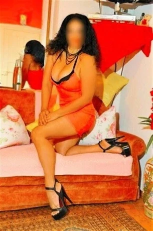 Dahlia Aus Brasilien — 9 / 17