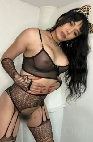 TS Casandraella — 6 / 24