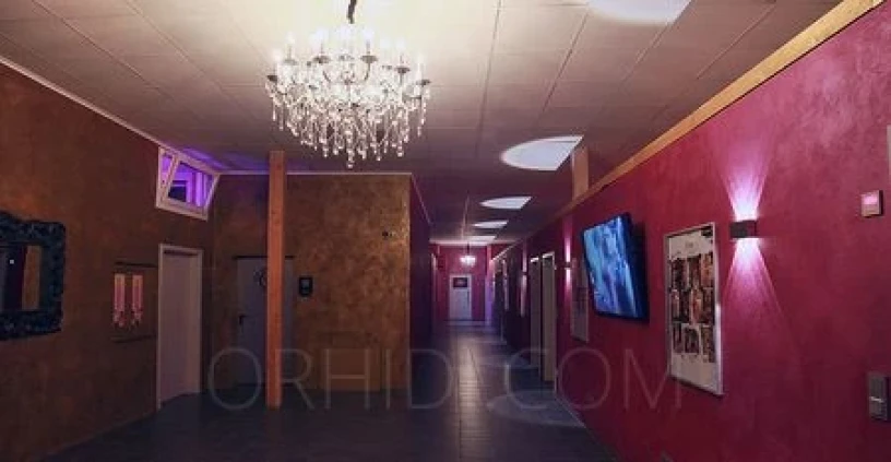 LUSTRA DAS ERLEBNISHOTEL! — 6 / 12