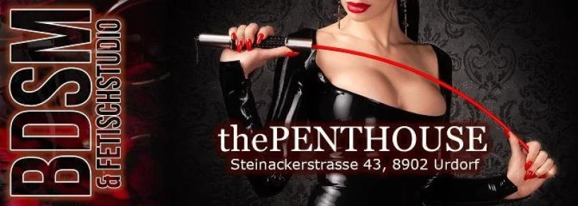 BDSM-Penthouse — 3 / 4
