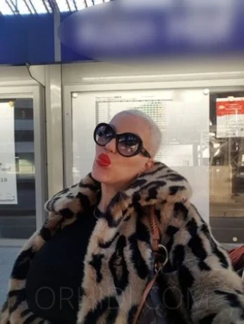 TRANS ANNA LATINA XXL! Nur bis Samstag Nacht — 14 / 24