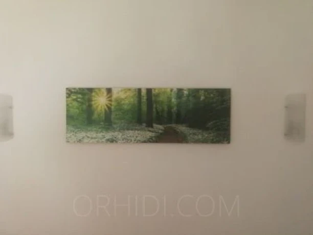 Saarmassage Rote Sonne — 2 / 14