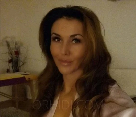 Paula Wild — 2 / 3