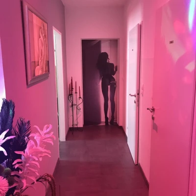 991769, Escort, Vienna