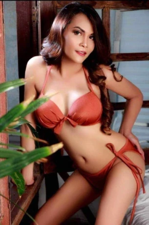 TS Eclairs Top Aktiv/ Passiv Service! — 2 / 3