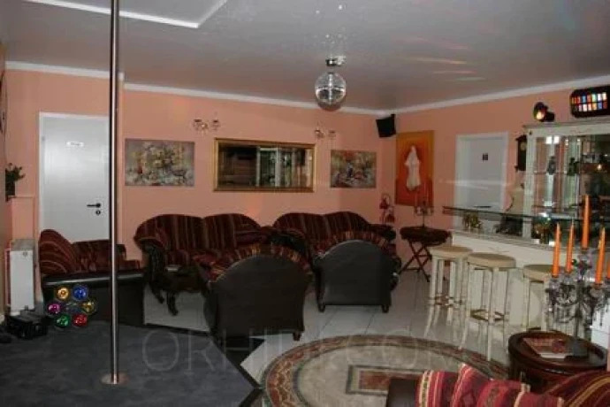 Hotcats Club — 7 / 17