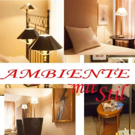 Alia a.Südkorea b.TÄUBCHEN — 6 / 12