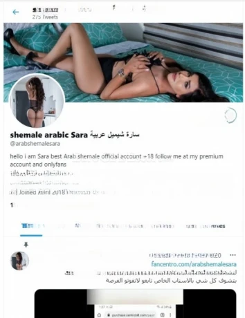 Ts Sara Arabic — 11 / 13