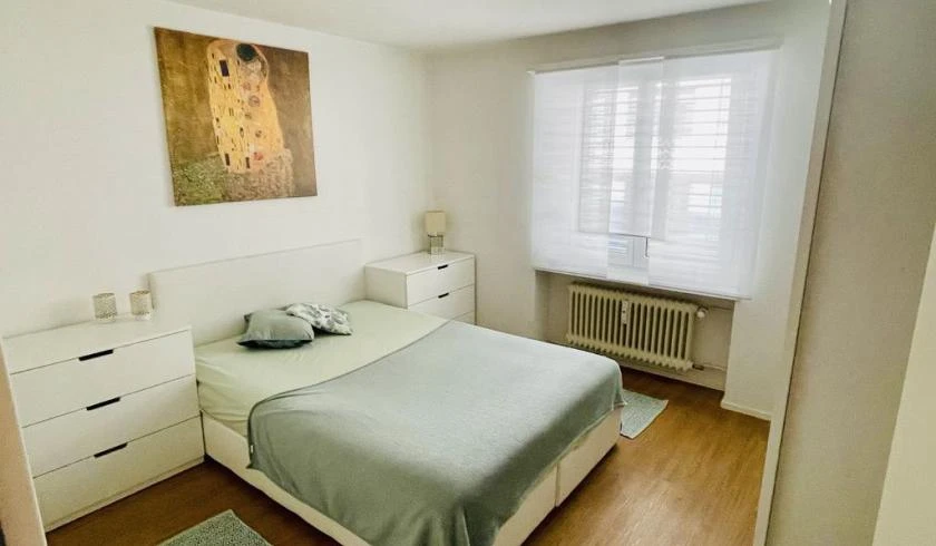 Privat Apartment Zu Vermieten, Escort, Basel