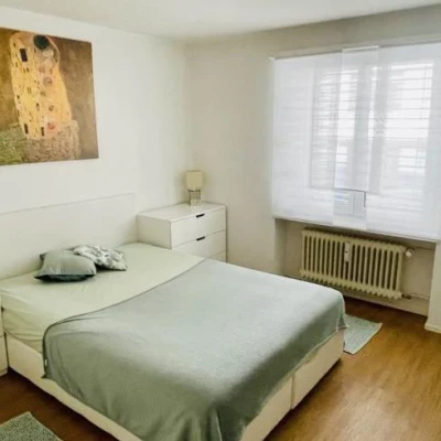 Privat Apartment Zu Vermieten, Escort, Basel