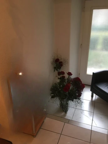 Ab Sofort Zimmer Frei In Zuerich City — 2 / 3