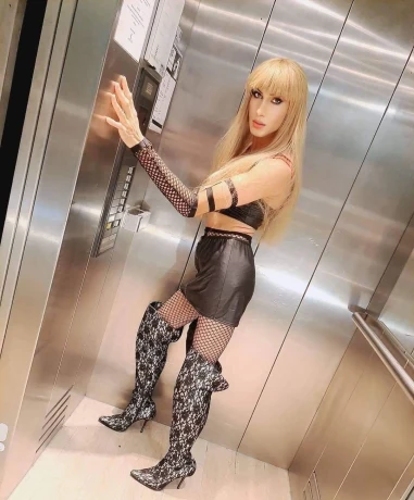 Aneliatrans103 — 1 / 3