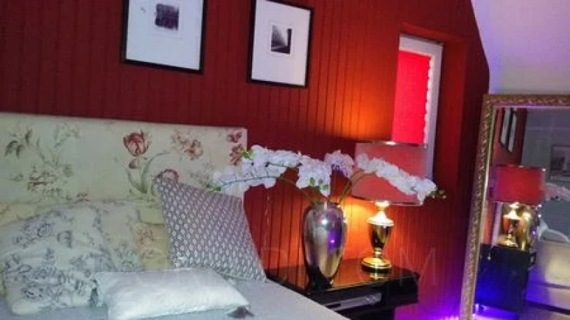 Haus Exotica — 11 / 13