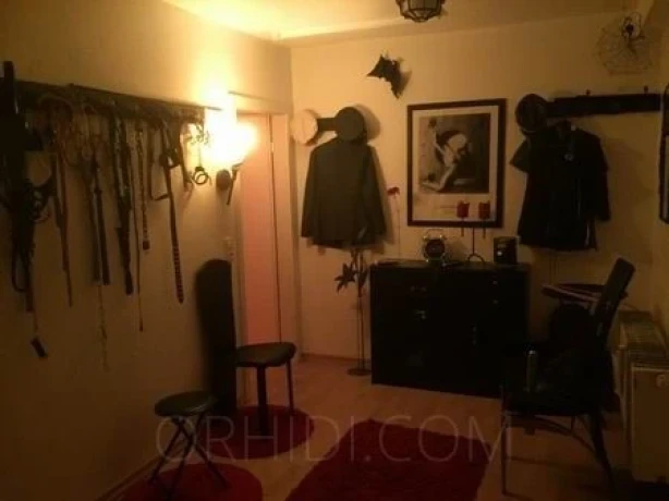 Hotcats Club — 14 / 17