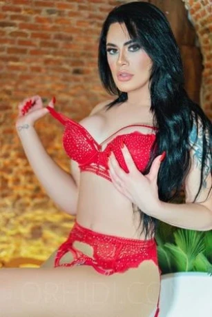 Heiße Brasilianische TS SOFIA! — 6 / 9