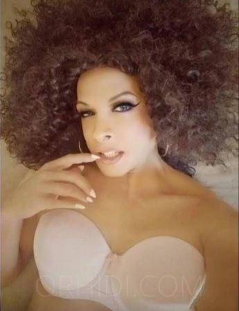 TRANS Luana — 5 / 7