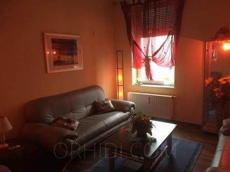 Hotcats Club, Escort, Wuppertal