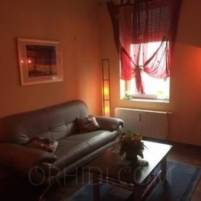 Hotcats Club, Escort, Wuppertal